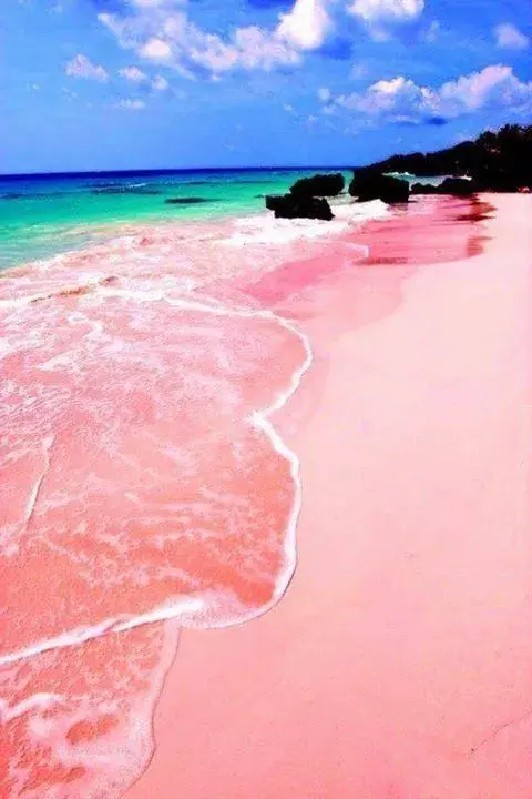 下次旅行就去这些粉色沙滩吧!