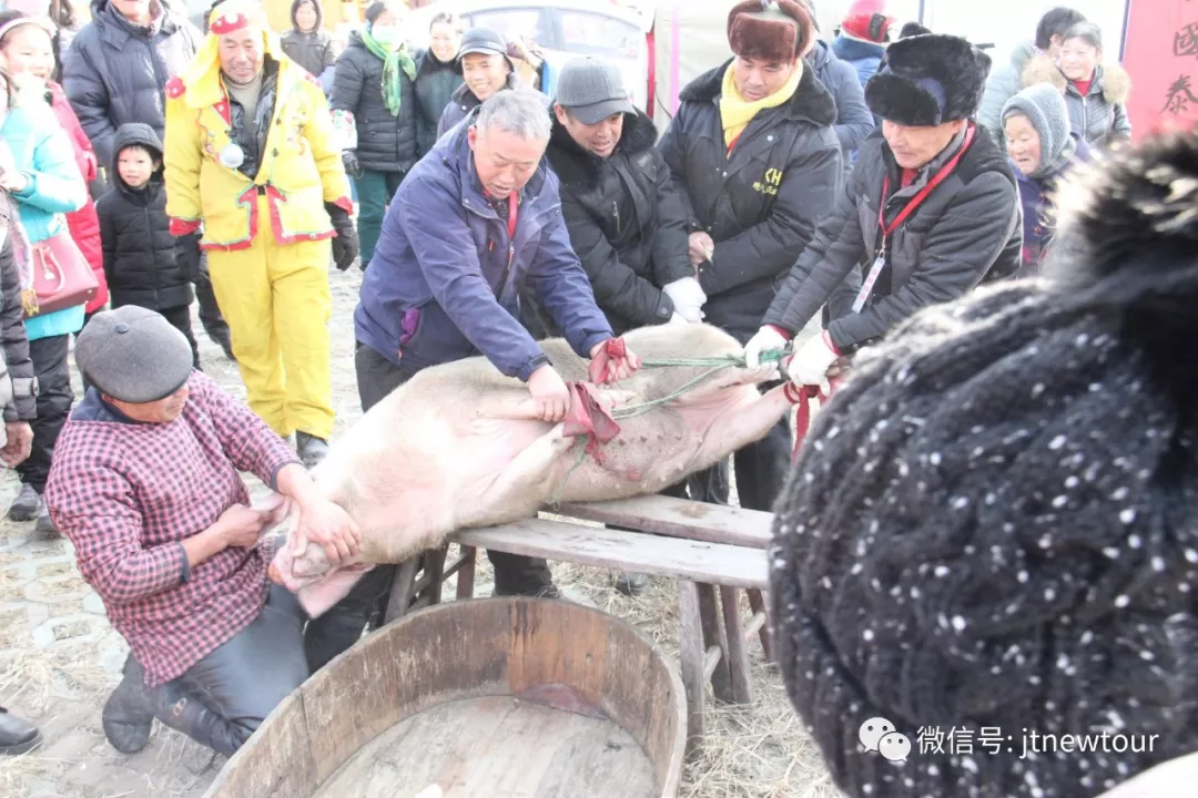 宰个女人过大年图片