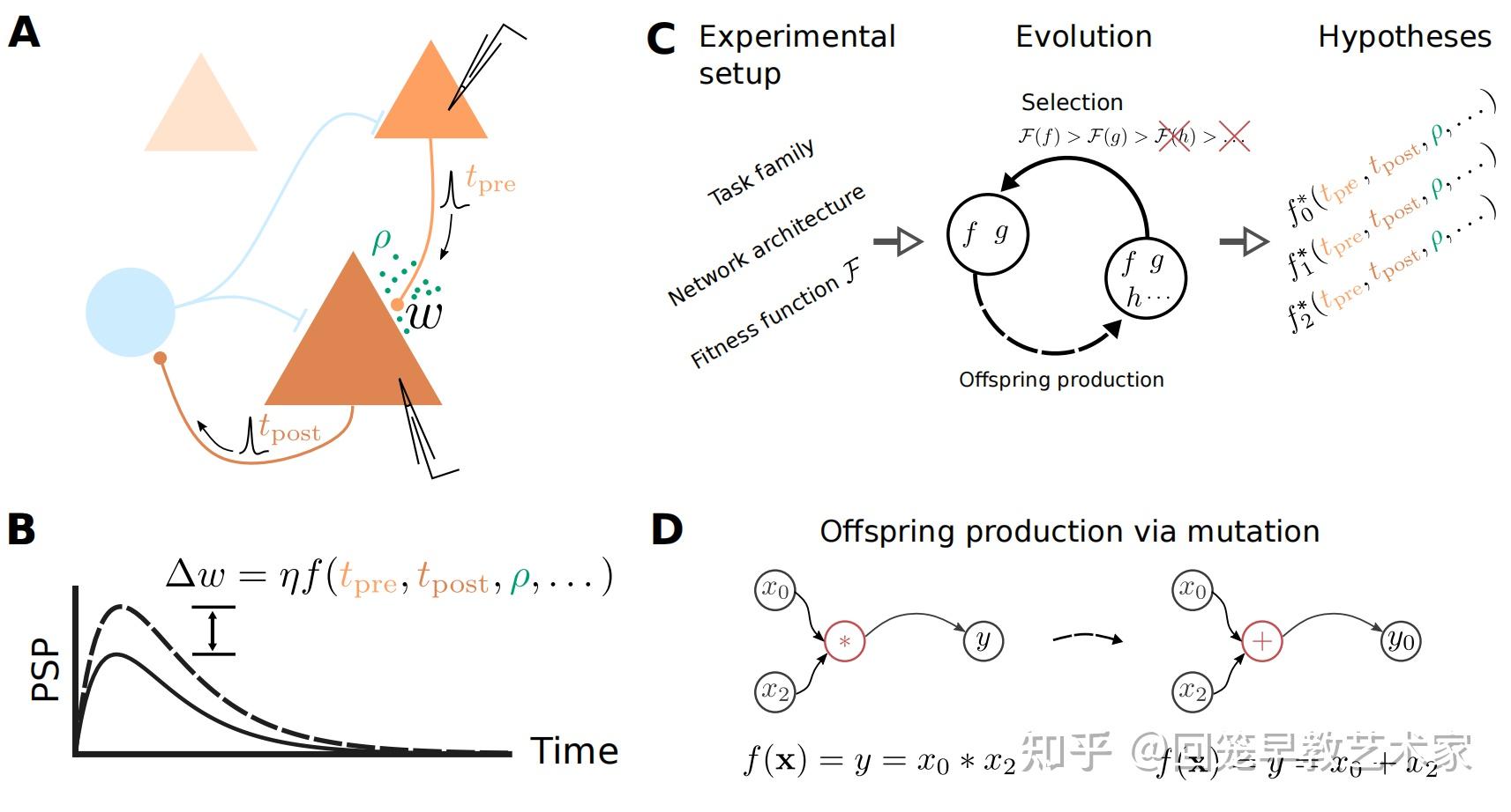 SNN系列文章3——Evolving To Learn: Discovering Interpretable Plasticity Rules ...