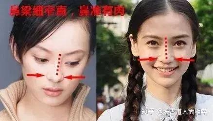面相五官分析图相鼻,鼻相好是什么意思? - 知乎