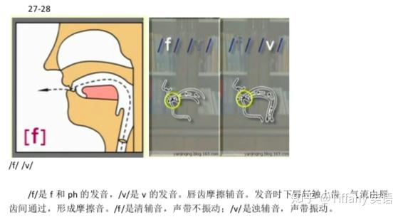 48个国际音标发音舌位图 - 知乎