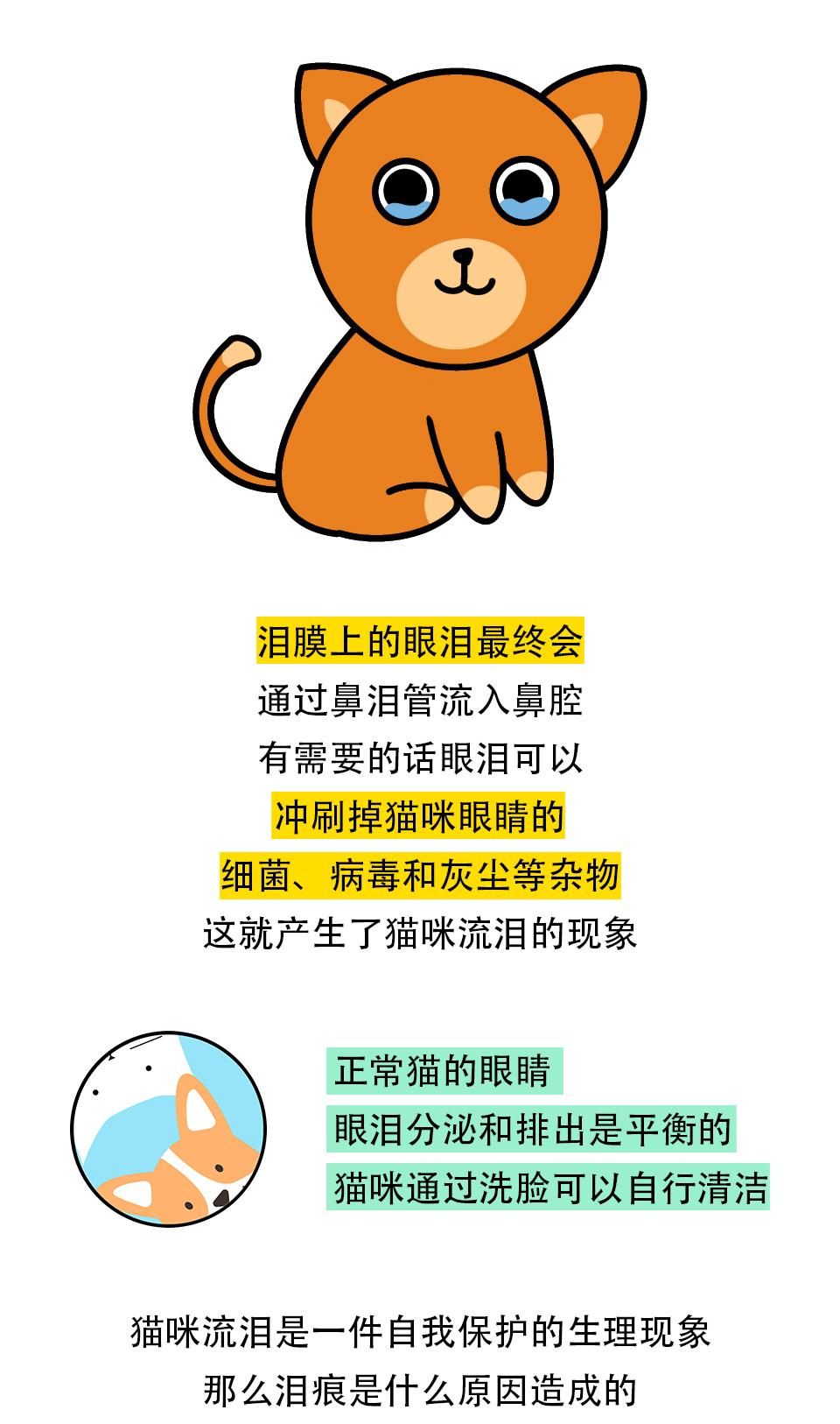 v2-af6f4a10addc715a246afadcba72d384_r.jpg