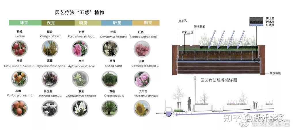 2021毕设配套素材10丨植物分析psd大汇总 - 知乎