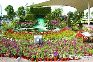 景观人植物理论系列 花坛配置 知乎