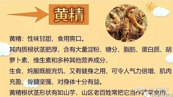 黄精-中国传统文化中的“仙药” - 知乎