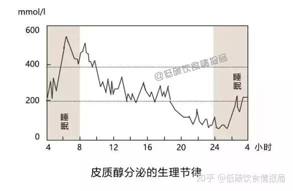 皮质醇分布规律