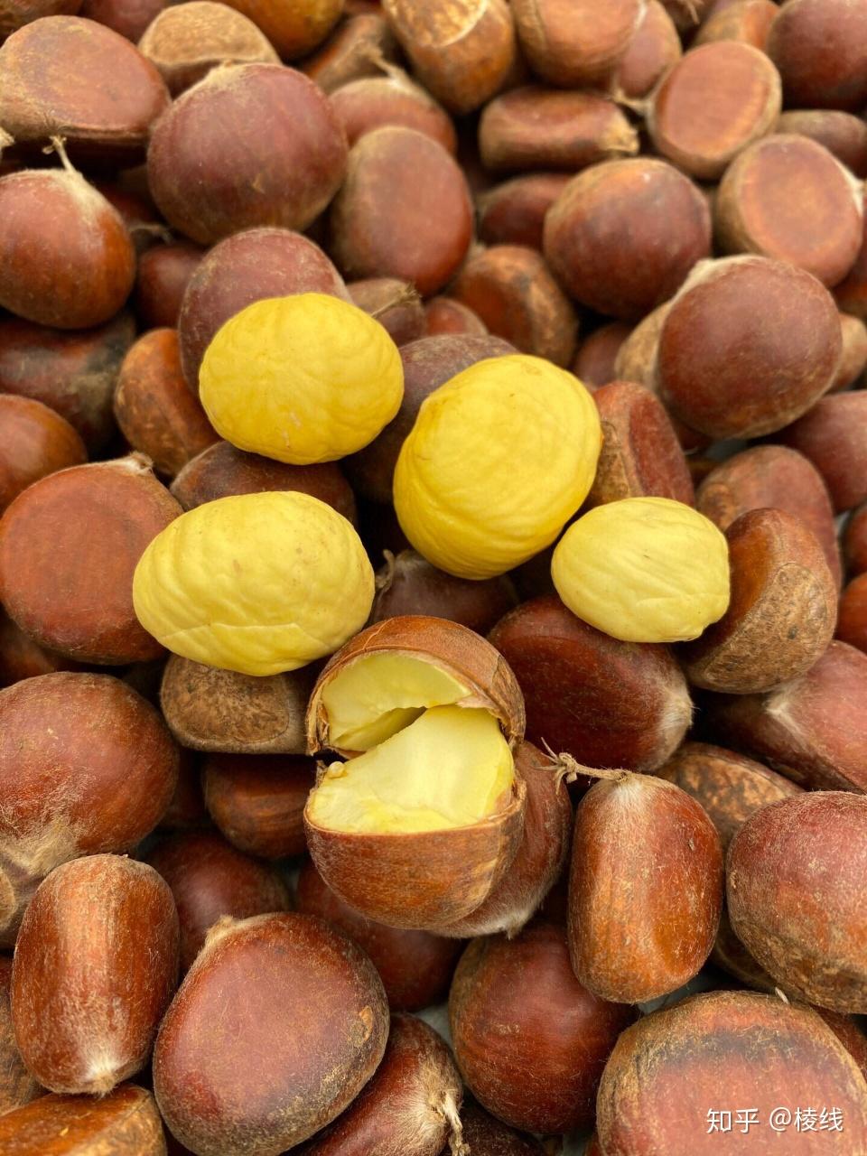 云南新鲜粉糯板栗