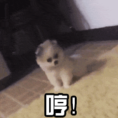 v2-afac32064a9f858f138235d637c87cba_b.gif