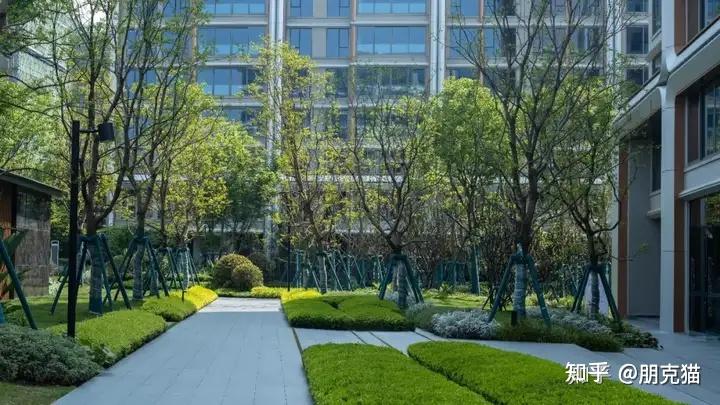 在重庆看了30个盘,为什么我最终选择了中央公园的白屿林? - 知乎