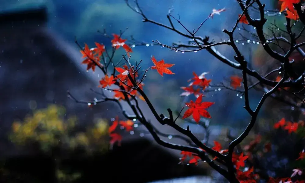 立秋夏秋之交贴点秋膘