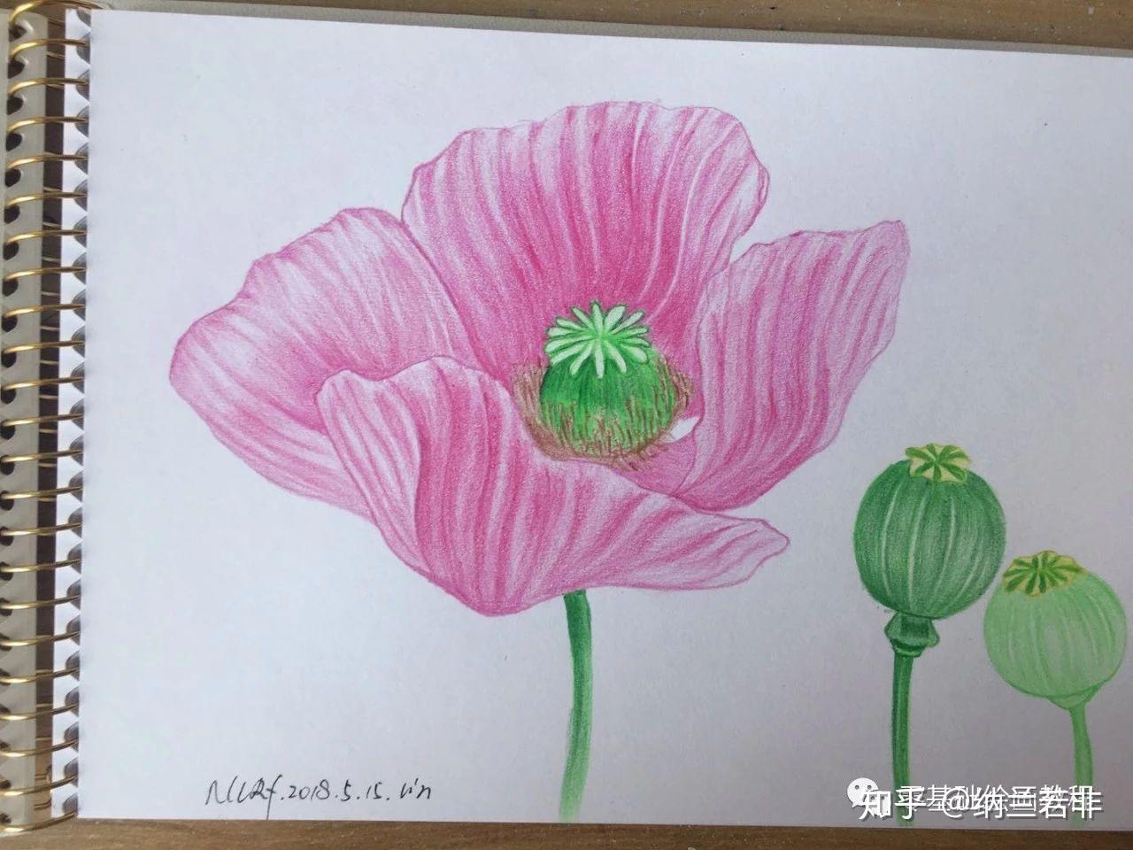 零基础绘画教程