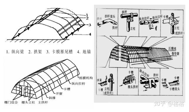 ③大棚规模大棚的平面尺寸除根据地理环境,生产规模,技术和管理要求