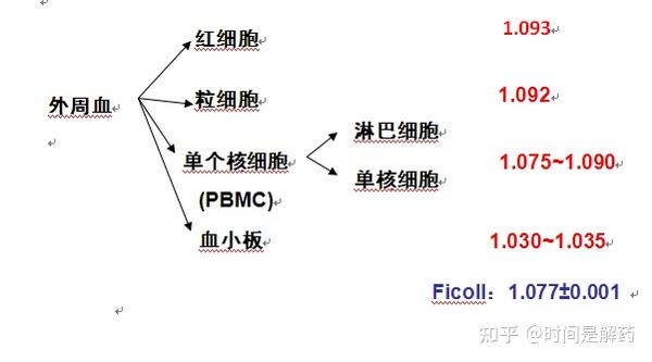外周血PBMC分离 - 知乎