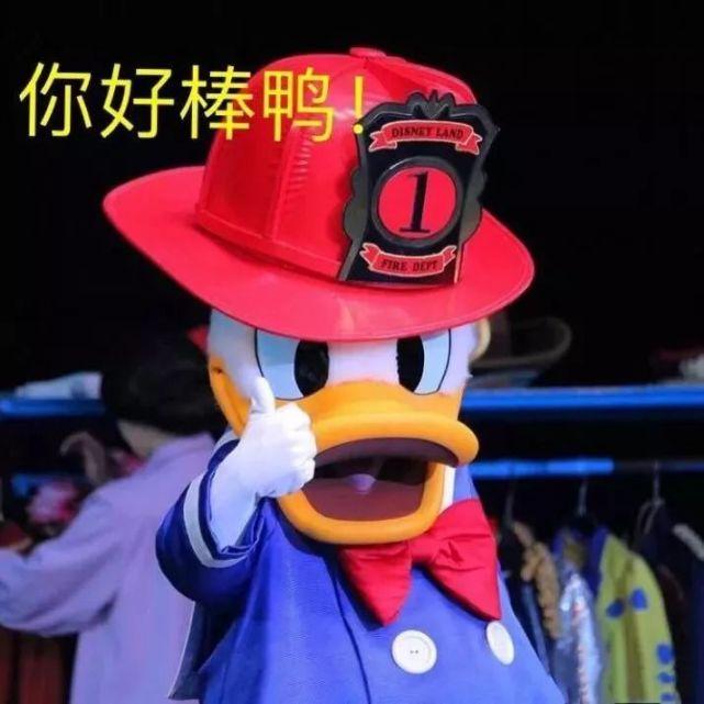 表情包今天不想加油鸭