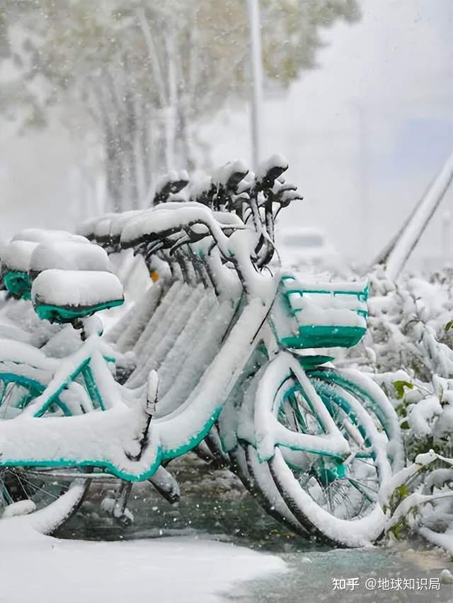 暴雪正确向上的图片图片