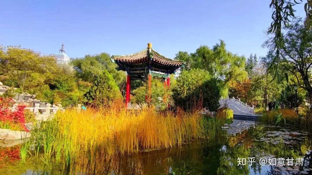 輕點毓秀湖,鵲影只只,優雅地飛翔在湖面上,為蘭大人帶來秋的訊息.