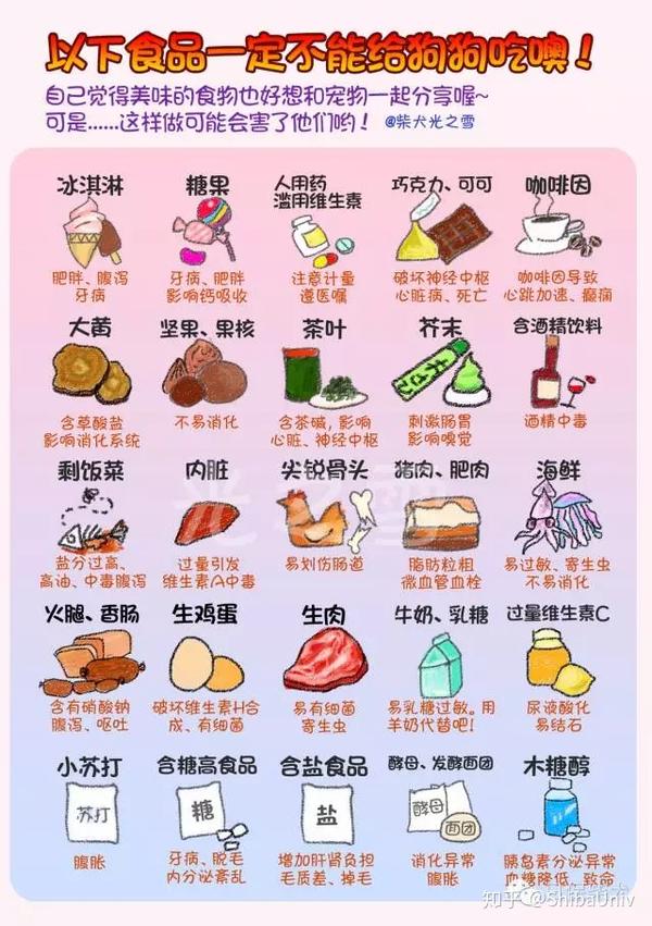 狗狗不能吃的50种食物 知乎