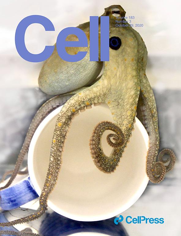 科学与艺术的结合！《CELL》100+张期刊封面鉴赏｜2020年篇 - 知乎