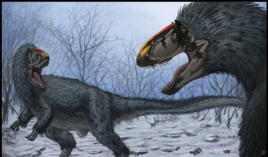 凶猛巨无霸也有变靓的心细数最具特色的中国暴龙