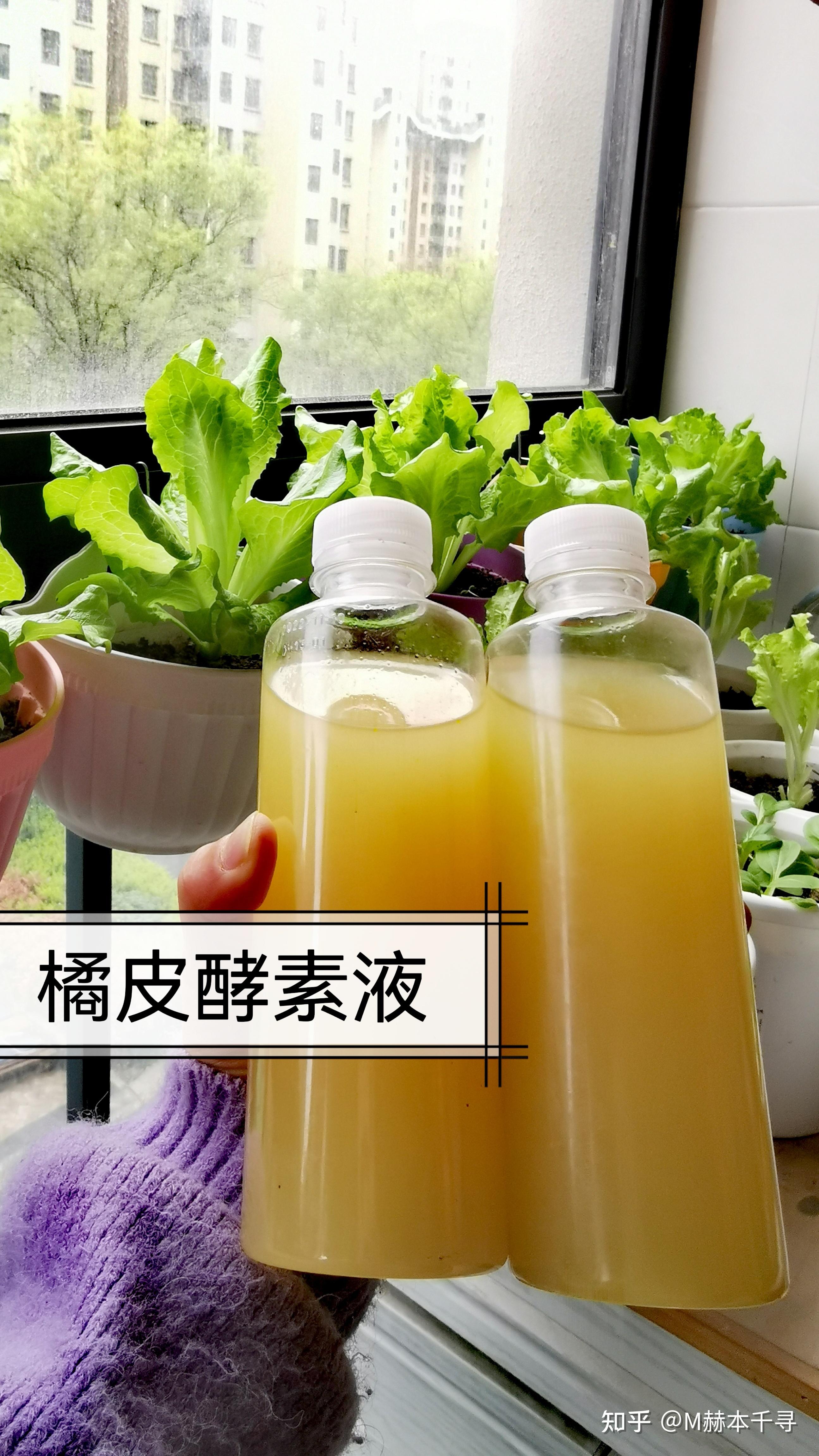 环保酵素在生活里的用途,好处多多