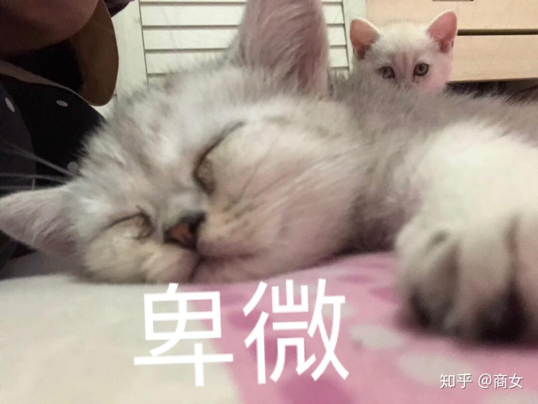 南大碎尸案(刁爱青案) - 知乎