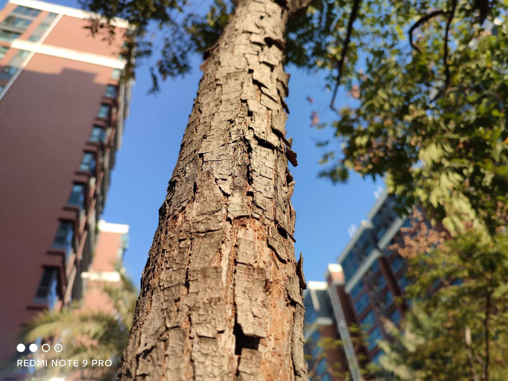 redminote9pro上手体验真不错