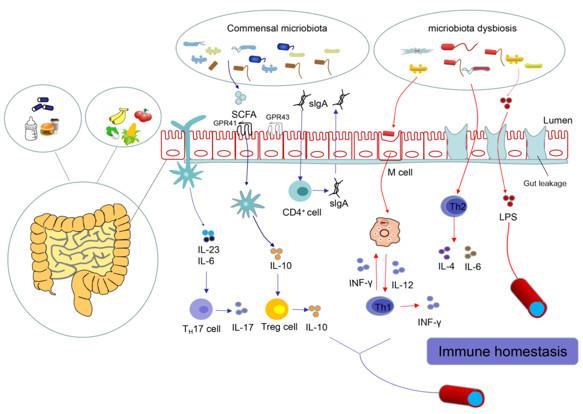 营养荐读生命早期营养与免疫