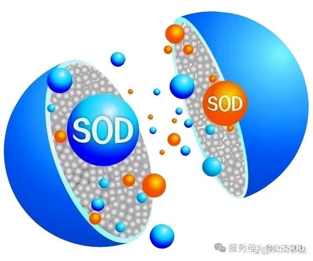 除了管住嘴,痛风患者的新希望?——深挖SOD的辅助治疗潜力 - 知乎