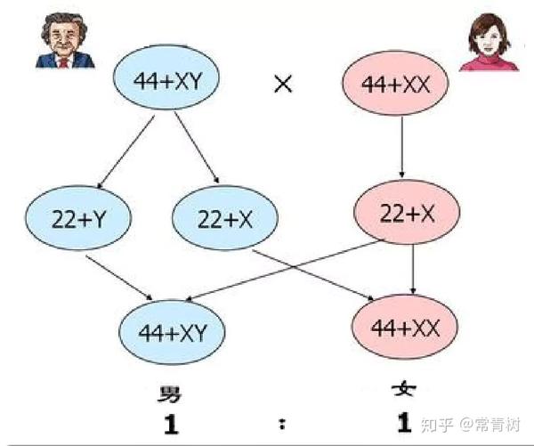 别只知道xy 生物界还有许多不可思议的性别决定方式 知乎