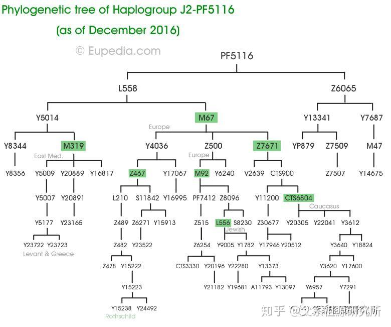 父系单倍群j2 知乎