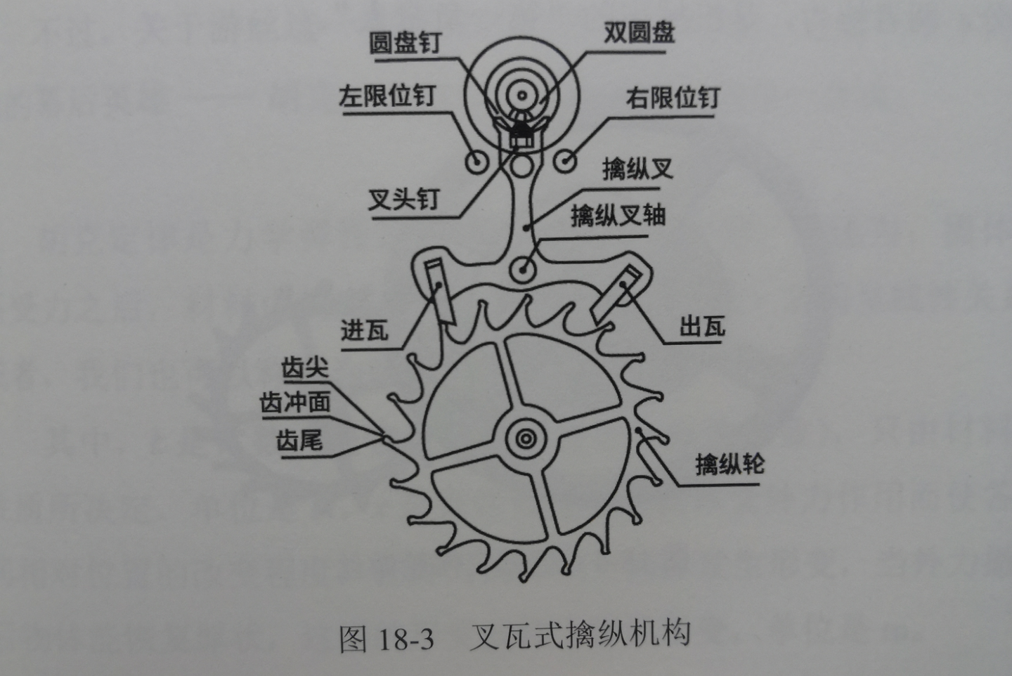 机械表的运行:擒纵结构