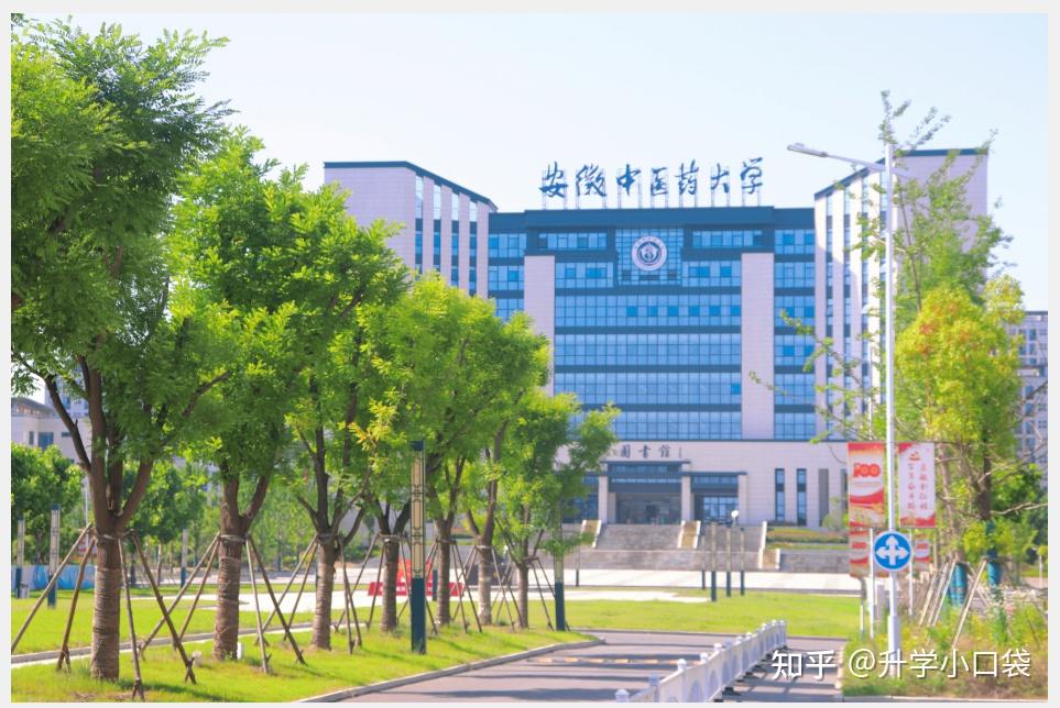 安徽中医药大学2023届保研120人,23人被保送到本校 知乎