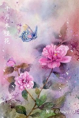 手绘插画 花语 十二月人间情 知乎