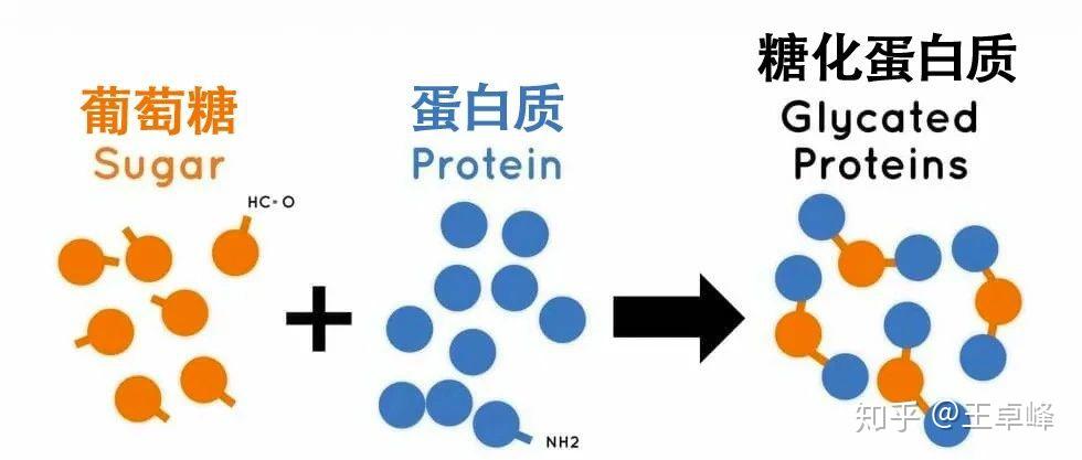 抗糖化终极大法如何哄身体摆脱米面糖依赖