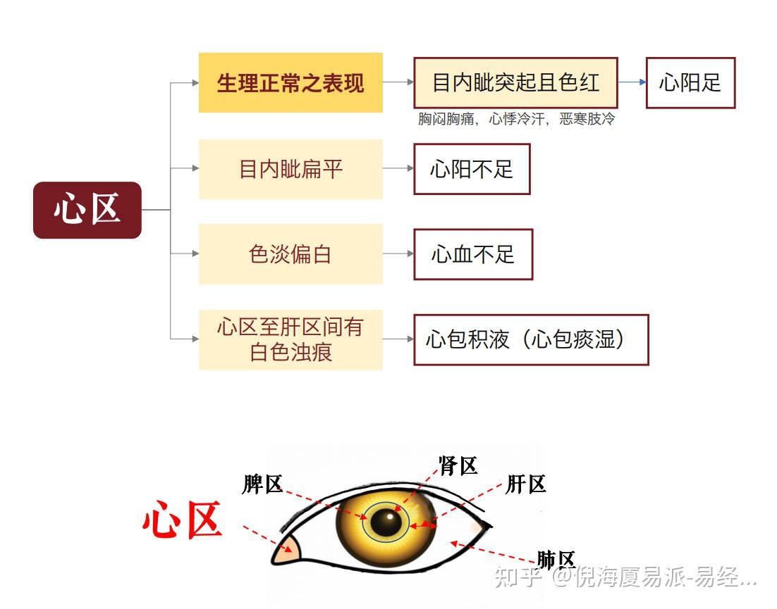 角膜反射图解图片