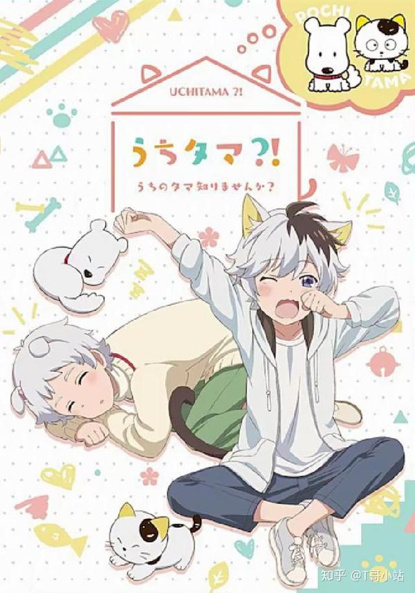 《uchitama!猫狗宠物街》