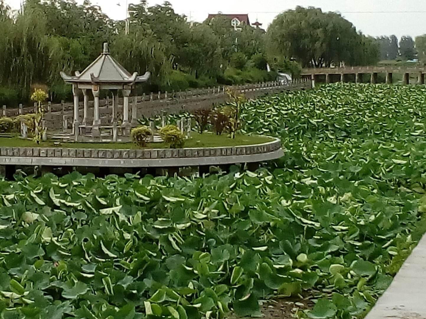 001河上公道德经述成·体道：道可道 知乎