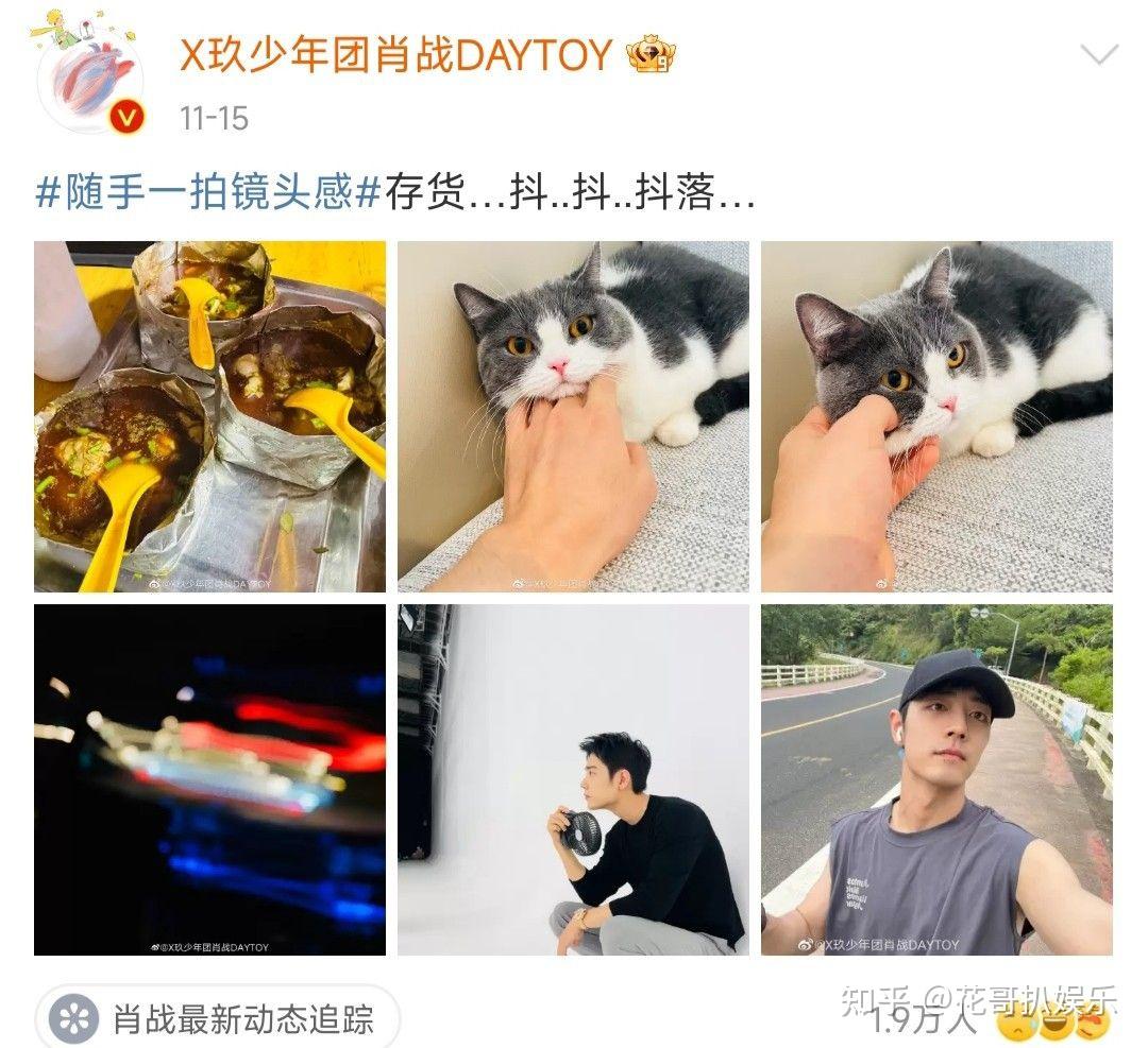 肖战发动态晒爱宠，被网友扒出，跟王一博晒头盔用的是同一款沙发- 知乎