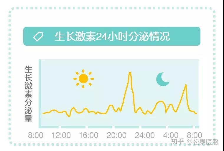 00～08:00,其中生长激素分泌最多的一个高峰是在22:00～24:00这个时间