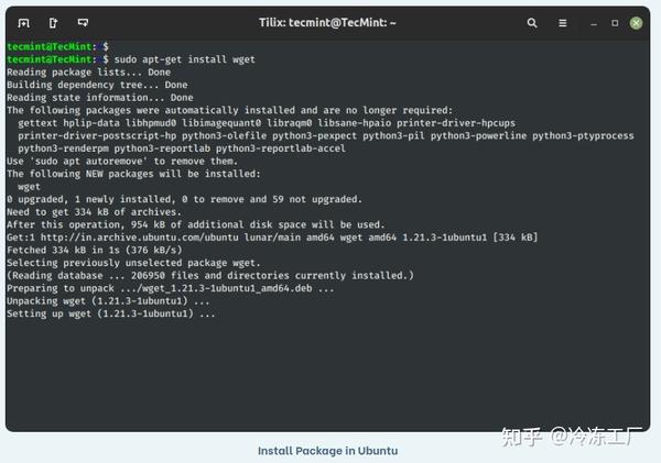 Ubuntu 20 apt get 