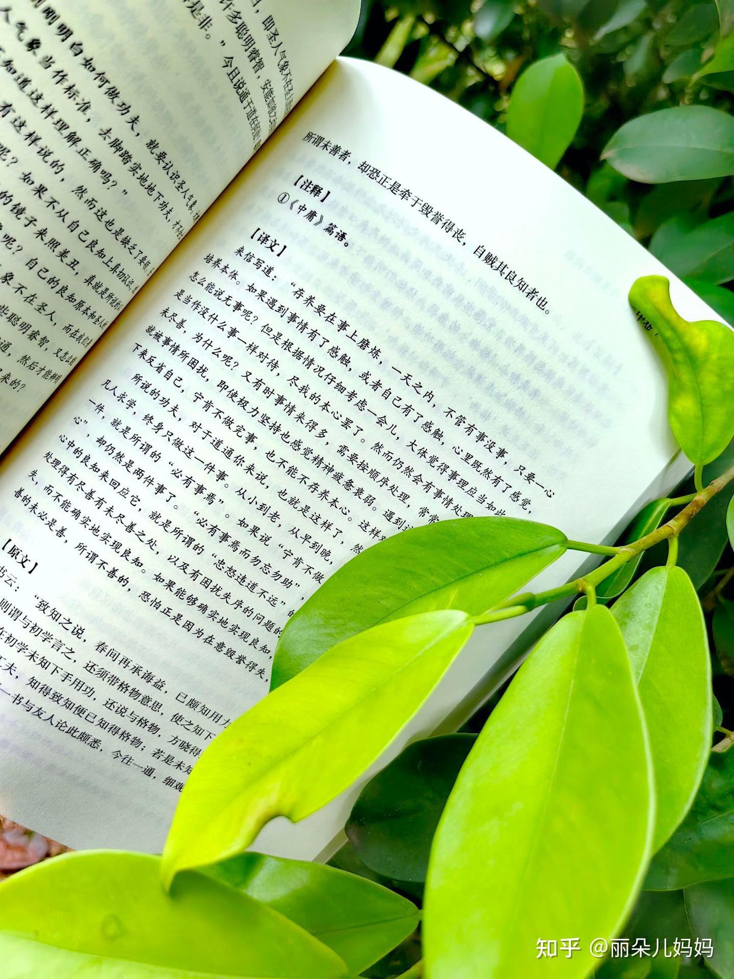 传习录·叶圣陶点校版》:两位伟大教育家合二为一的“知行合一” - 知乎