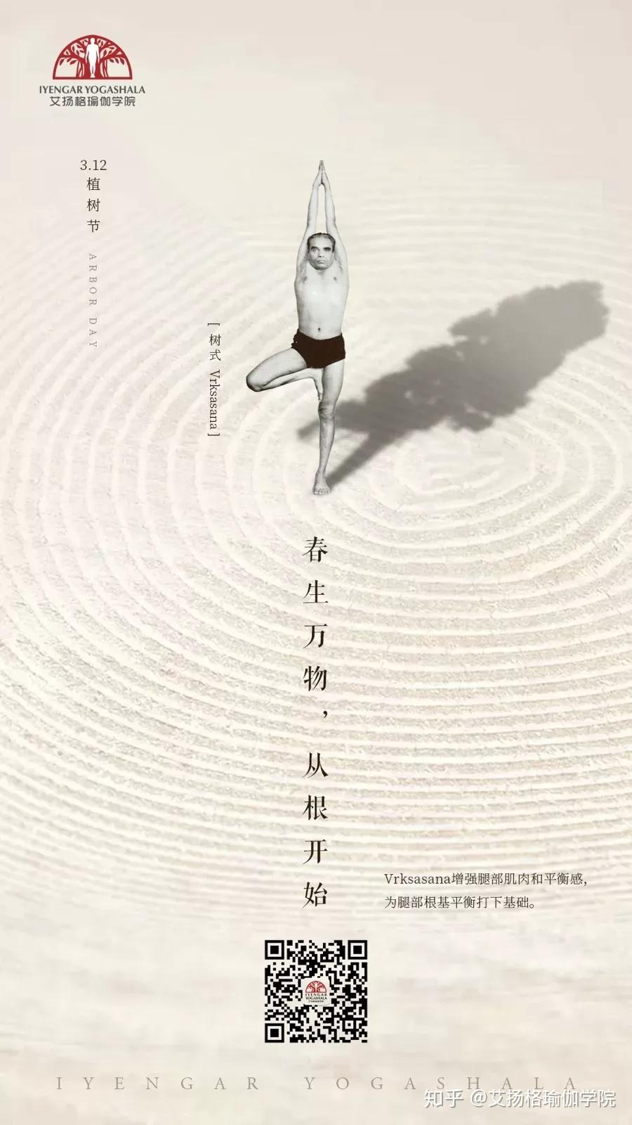 昨天你有练这个体式吗？植树节最佳体式：Vrksasana（树式） - 知乎