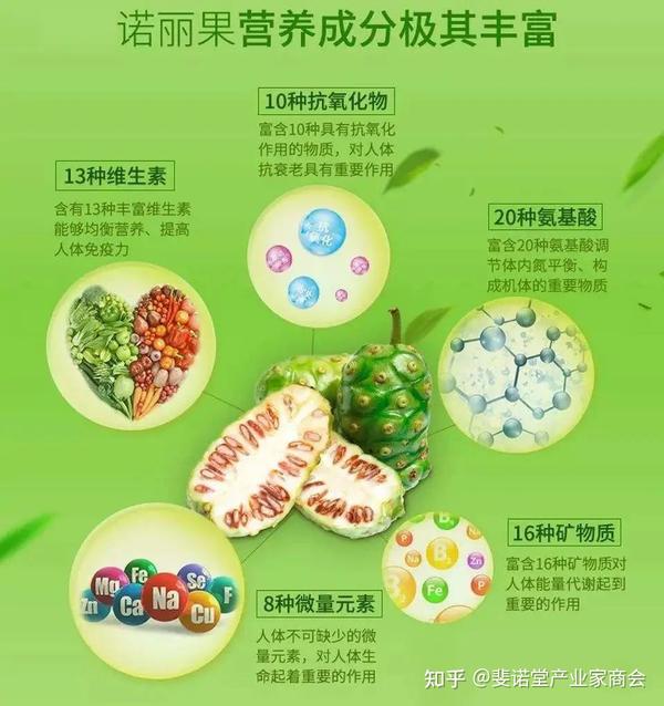 诺丽果核心营养成分是什么？ - 知乎