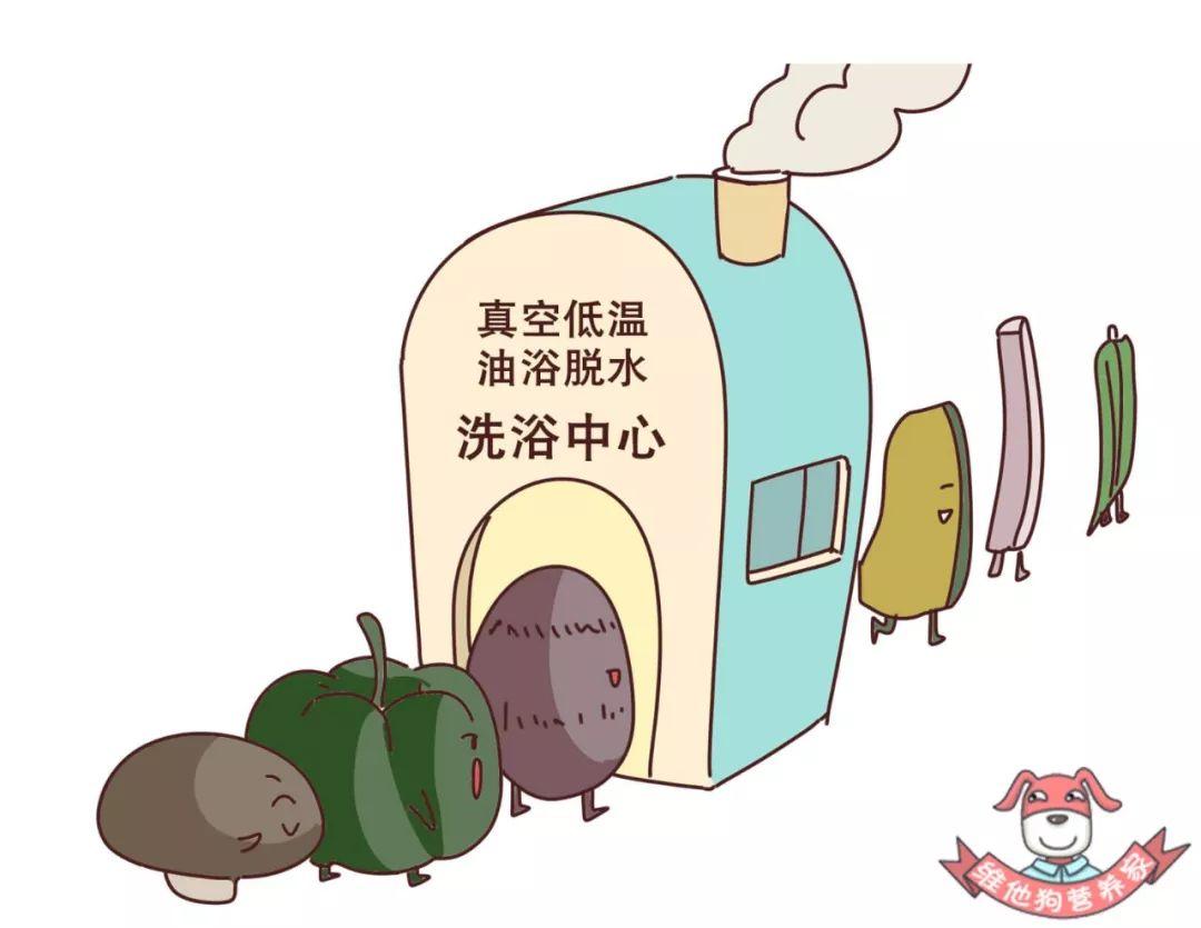 真空低温油浴脱水是将油炸设备抽成真空,这样油的沸点就会降到100度