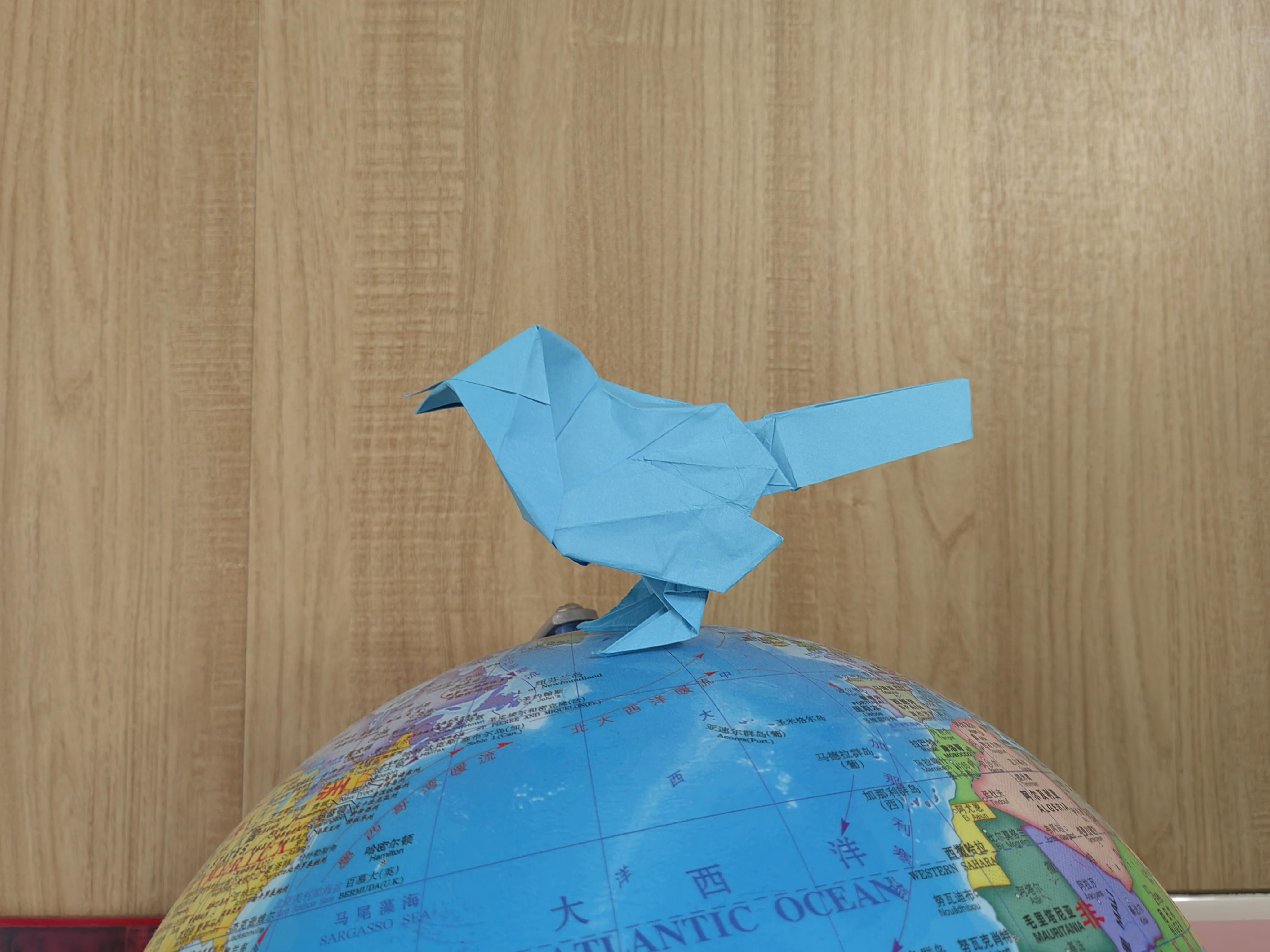 折纸 知更鸟 origami robin