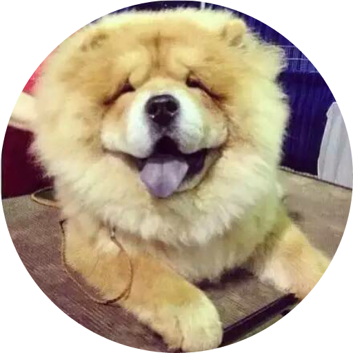 王小板儿