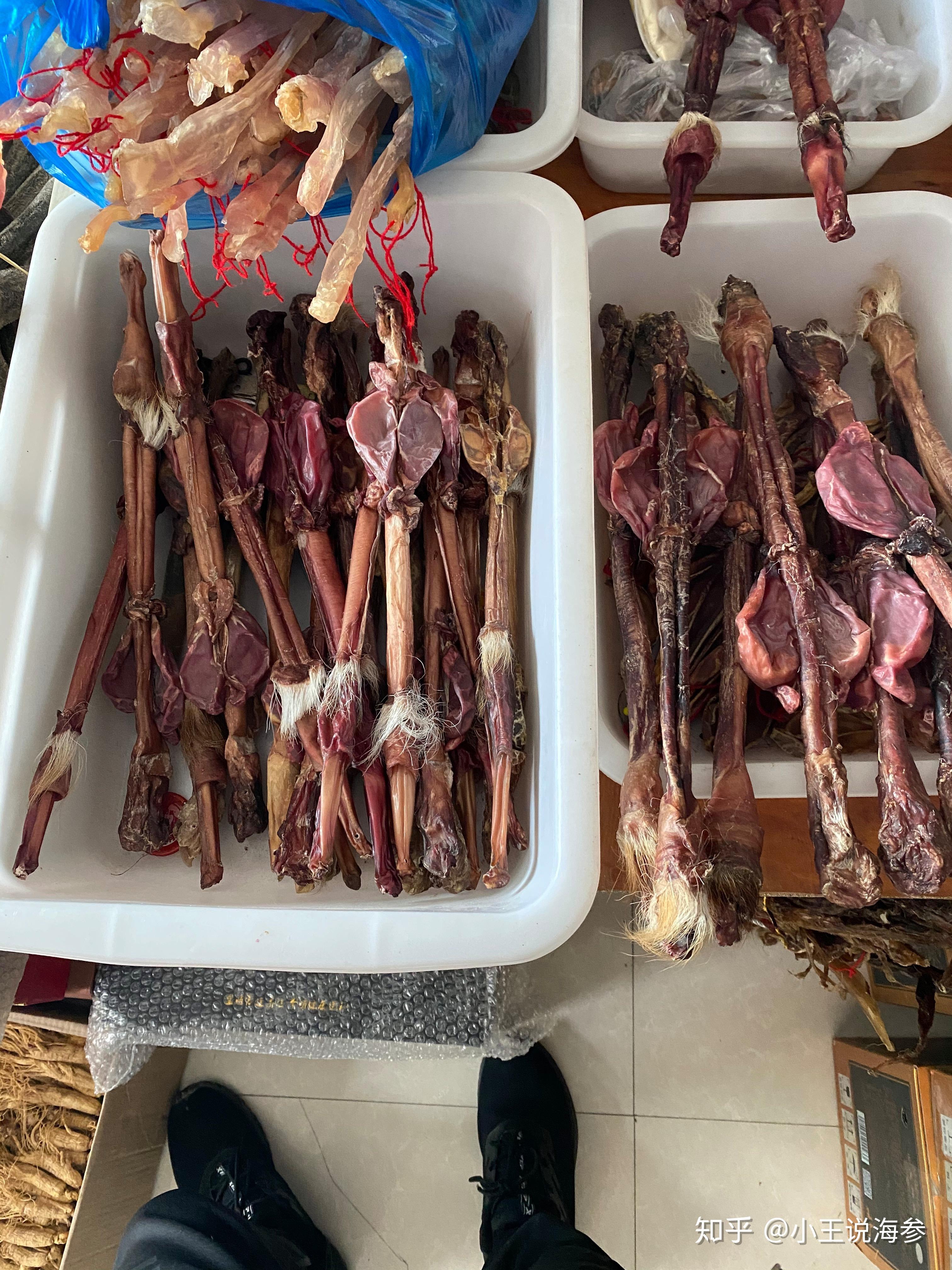 鹿鞭搭配鹿茸泡酒:下面分享三个高端食补方法和三个运动方法:肾是代谢