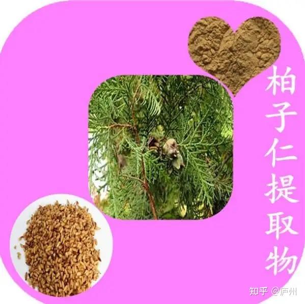 柏子仁的功效与作用 - 知乎