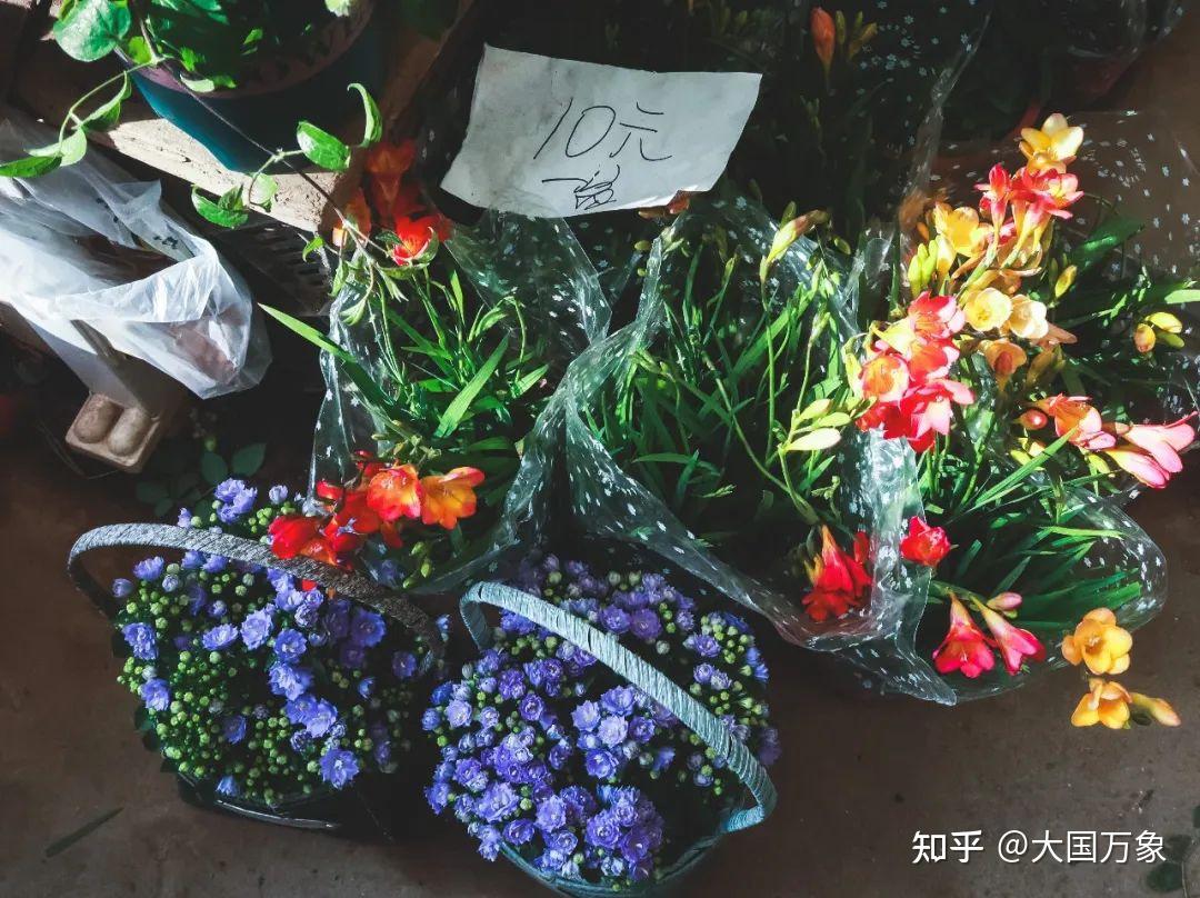 中国十大花卉批发市场(全国十大花卉批发市场有哪些地方) - 0415花卉网
