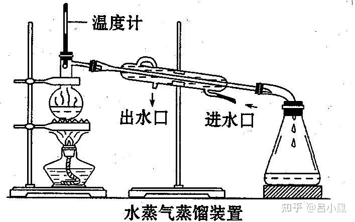 植物精油的提取方法简述 - 知乎